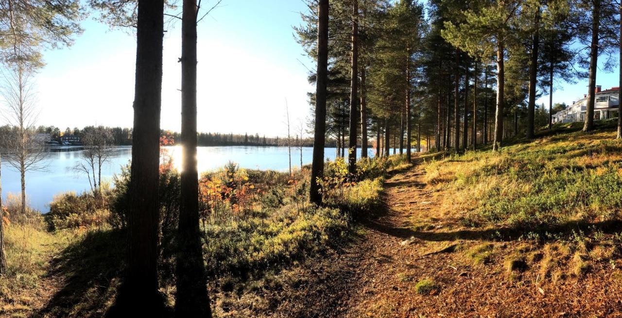 Arctic Sofia Riverstudio Rovaniemi Zewnętrze zdjęcie