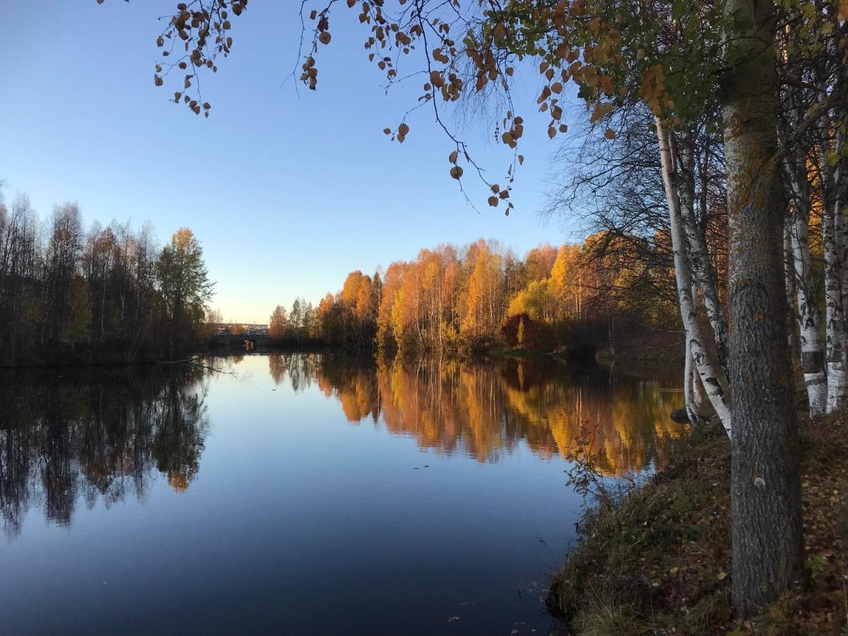 Arctic Sofia Riverstudio Rovaniemi Zewnętrze zdjęcie